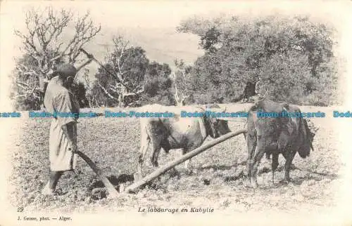 R088466 Pflügen in der Kabylei. J. Geiser