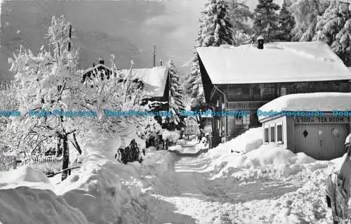 R089049 Champery. Marcel Rouge