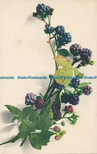 R089150 alte Postkarte. Beeren. Martin Rommel