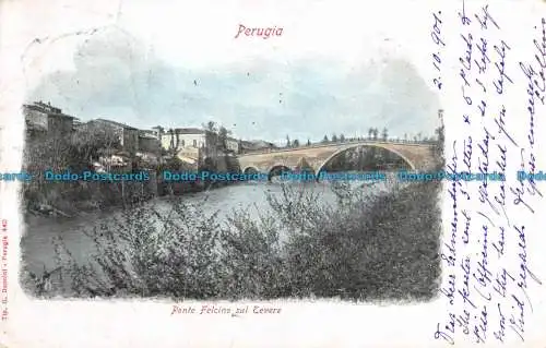 R089326 Perugia. Felkenbrücke über den Tiber. G. Donninl. Nr. B