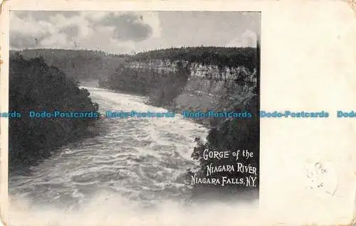 R089693 George vom Niagarafluss. Niagarafälle. Nr. J. 1904. Bill Hopkins Farbe