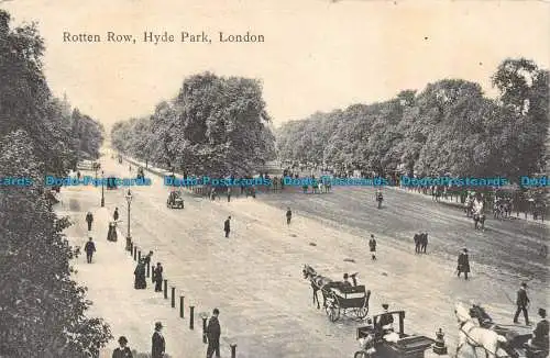 R108475 Frotten Row. Hyde Park. London. 1907