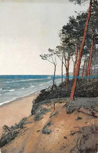 R108609 Alte Postkarte. Meer und Bäume. 1911