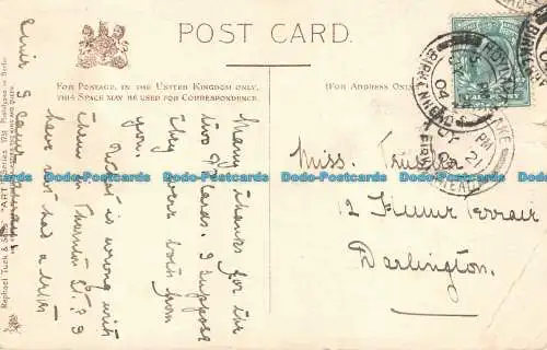 R108655 Alte Postkarte. Kätzchen. Tuck. Art. 1904