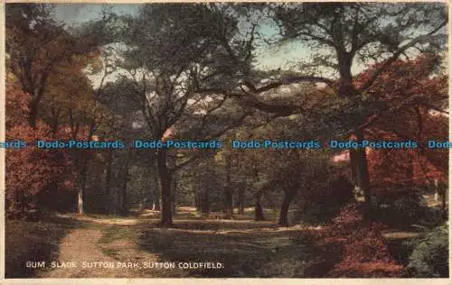 R109480 Gum Slade Sutton Park. Sutton. Coldfield. 1926