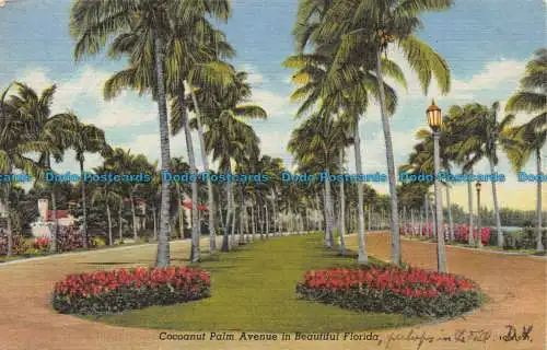 R108686 Cocoanut Palm Avenue im schönen Florida. 1954