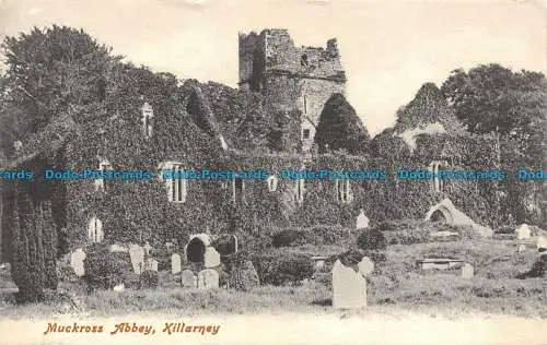 R108711 Muckross Abbey. Killarney. Lawrence