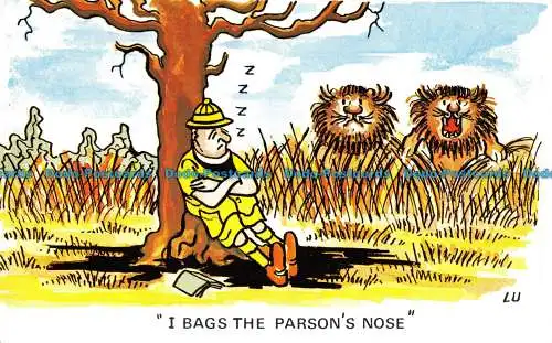 R120167 I Bags the Parsons Nose