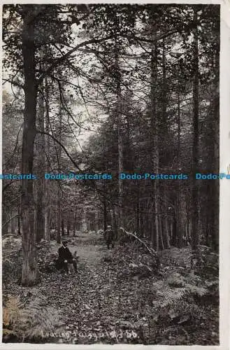 R120524 alte Postkarte. Im Wald