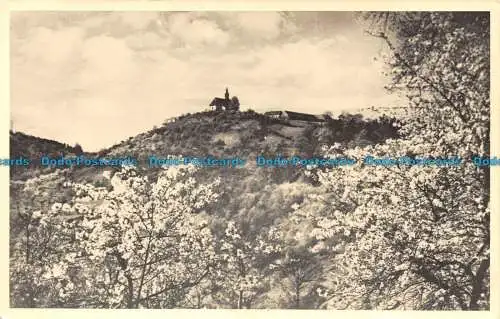 R120559 Alte Postkarte. Berg. Frühlingsbäume