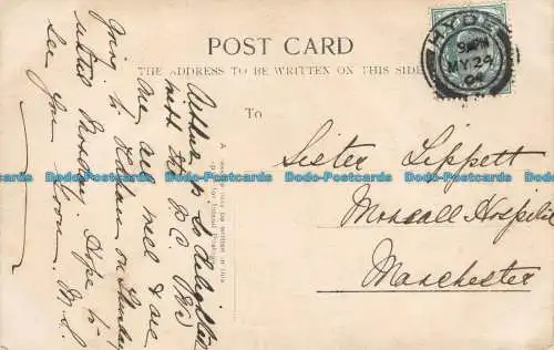 R127543 Alte Postkarte. Handflächen. 1904