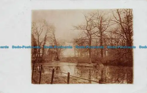 R127545 Alte Postkarte. See im Wald. 1908