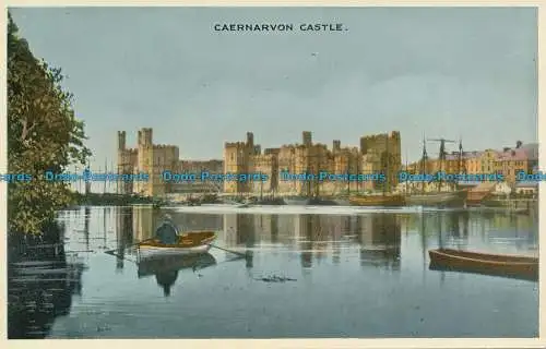 R128766 Schloss Caernarvon. Dennis