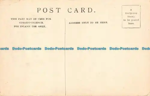 R127773 Postkarte. Porträt von Raffael. Nr. 5279