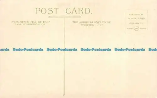 R130268 Alte Postkarte. Weg zwischen den Bäumen