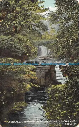 R129563 Wasserfall. Jesmond Dene Newcastle auf Tyne. G.D. und D. Der Stern. 1907