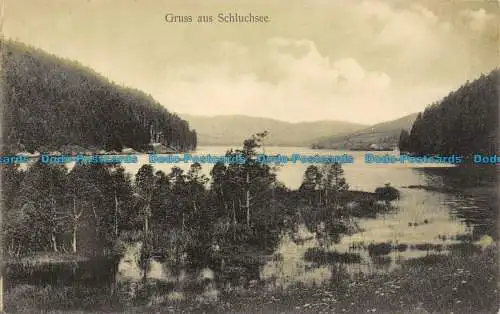 R128863 Gruss aus Schluchsee. Julius Siegel. 1912