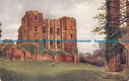 R129761 Kenilworth Castle. Caesar Tower. Lachs