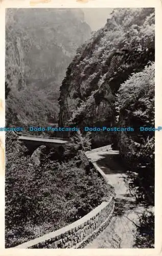 R131680 Umgebung von Grasse. Gorges du Loup Pont de l Abime. Der Storch