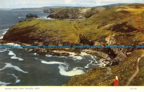 R130748 Stangenknoten von Tintagel Head. Jarrold. RP