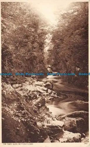 R131018 Das Fairy Glen. Bettws Y Coed