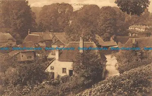 R131129 Cottages in Cockington. M. Low