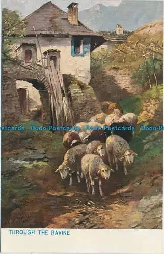 R624065 durch Schlucht. Ch. Mali. S. Hildesheimer. Nein. 5319