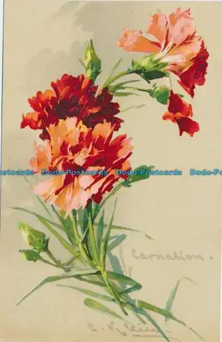 R624071 Blumen. Malerei. S. Hildesheimer. Nein. 5255