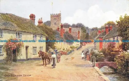 R624182 East Budleigh. Devon. A.R. Quinton. Lachs