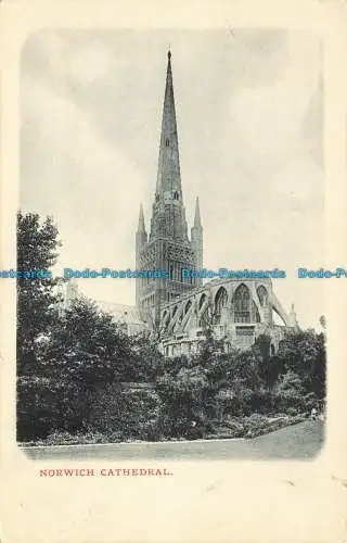 R624272 Kathedrale Norwich