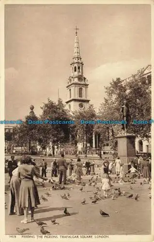 R624842 39528. Tauben füttern. Trafalgar Square. London. Harvey Barton