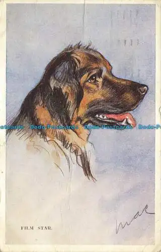 R625823 Filmstern. Hund. Tailwagger Postkarte. Valentinstag. 964. 1946