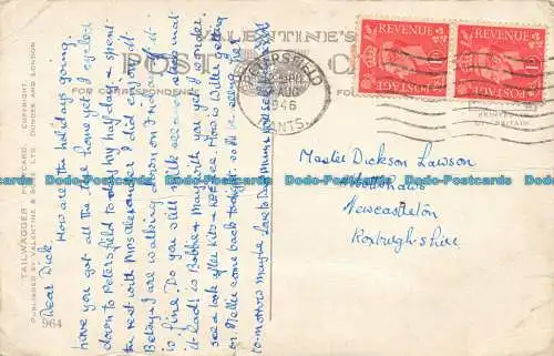 R625823 Filmstern. Hund. Tailwagger Postkarte. Valentinstag. 964. 1946