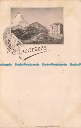 R625189 Schwarzsee. Schröder. F. Lugon. 1899