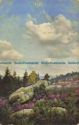 R625328 Unbekannter Ort. Natur. Felsen. Malerei. Photochromie. Serie 213. Nein. 354