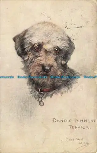 R625362 Dandie Dinmont Terrier. Maud West Watson. Skizzen von Hunden. Tuck. Öl