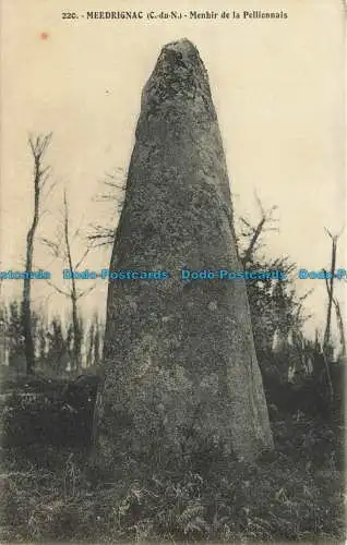 R627192 Merdrignac. C. von N. Menhir de la Pellionnais