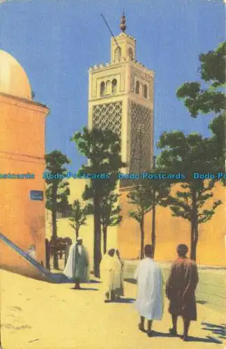 R627232 Tunis. Moschee der Kasbah. Der Storch