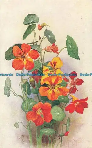 R625435 Blumenstudien. Tuck. Öle. Nein. 3134. 1943