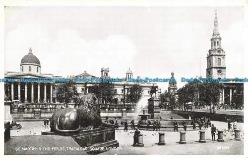 R627948 London. St. Martin auf den Feldern. Trafalgar Square. Valentinstag. Silberne