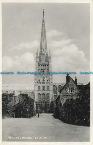 R626250 Kathedrale von Norwich. Südansicht. Postkarte