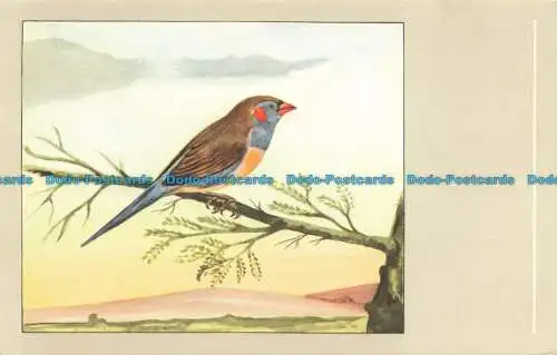 R628079 Blaue Schnur. N.V.P. Sluis Vogelfutter