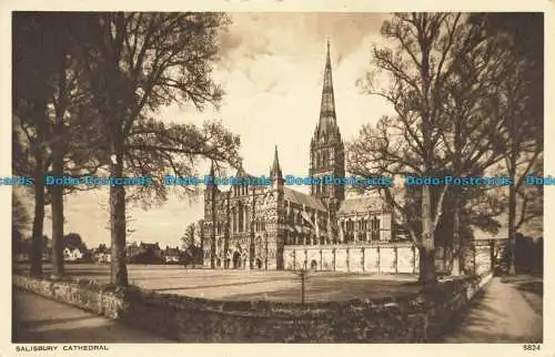 R628227 Kathedrale von Salisbury. Fotopräzigkeit. Englische Serie