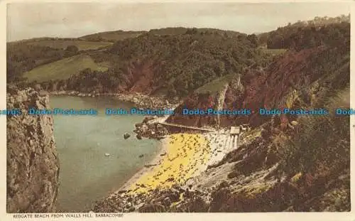 R628625 Babbacombe. Redgate Beach von Walls Hill