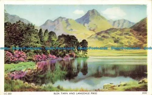 R629262 Blea Tarn und Langdale Pikes. H. Webster