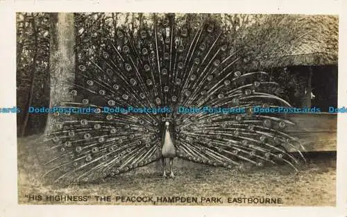 R628642 Eastbourne. Seine Hoheit der Pfau. Hampden Park. F.A. Hutchinson