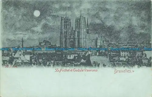 R629413 Brüssel. SS. Michel und Gudule. Panorama