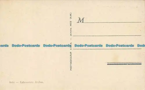 R628789 Arabische Arbeiter. A.D.I. A