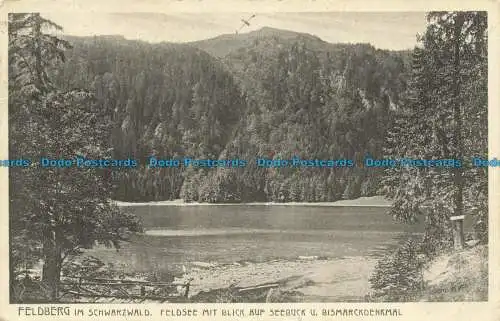 R629988 Feldberg im Schwarzwald. Feldsee mit Blick auf Seebuck. 1933