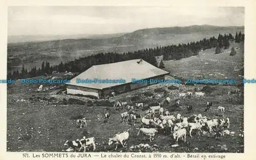 R630207 Die Gipfel des Jura. Das Chalet du Crozat. L. Michaux